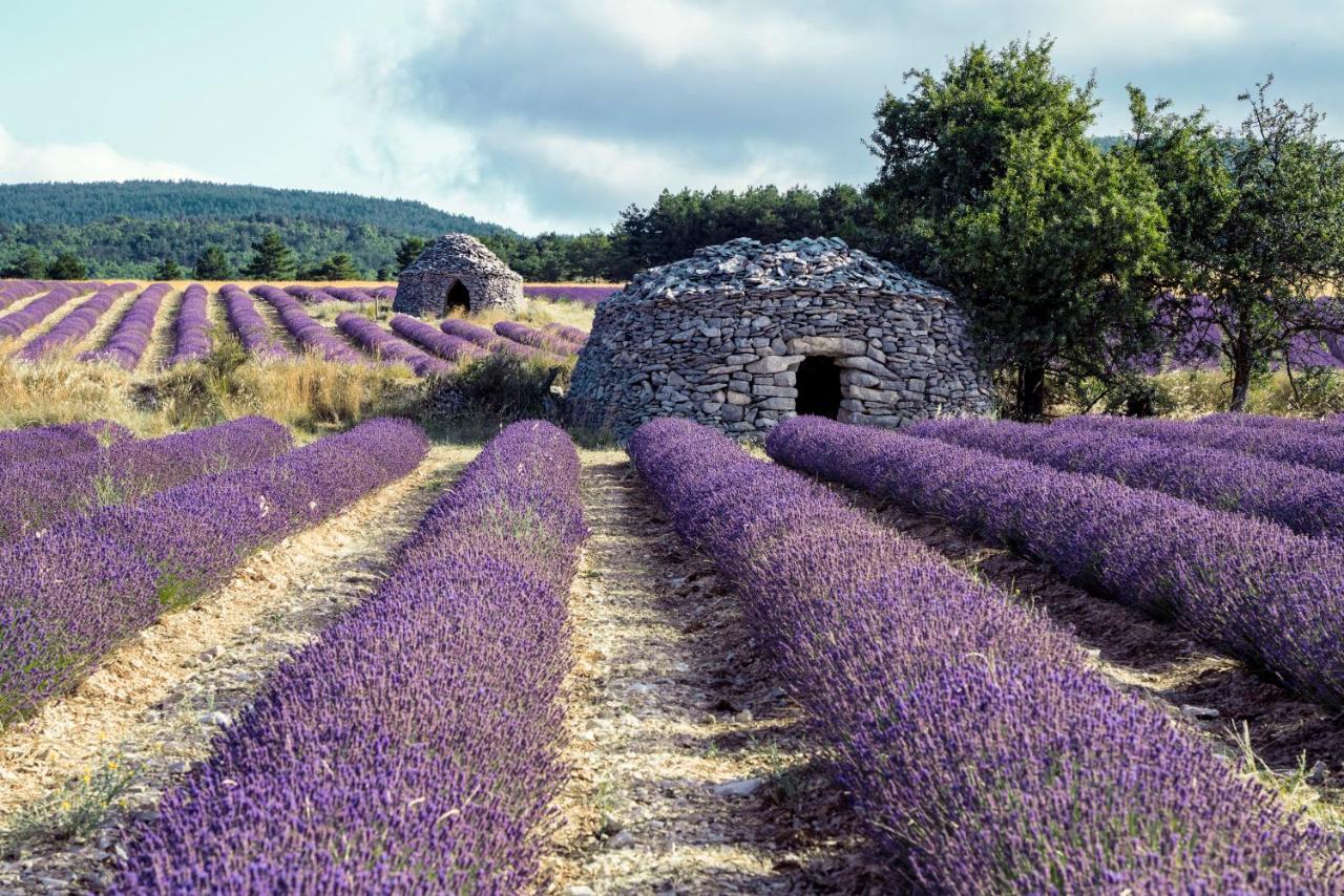 Gite La Bastide De La Loge Au Pied Du Mont Ventoux Sault Extérieur photo